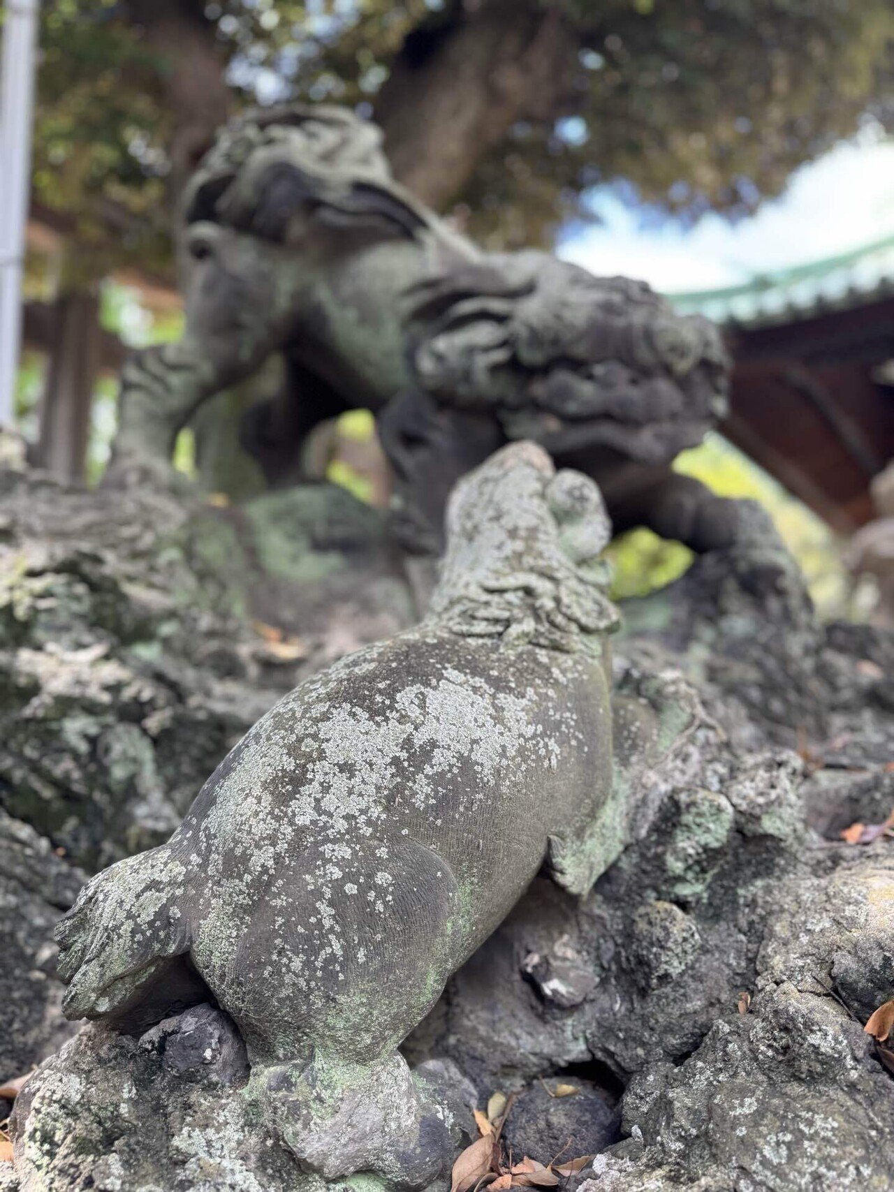 牛嶋神社④狛犬➁【阿吽うんの形】｜福田博之