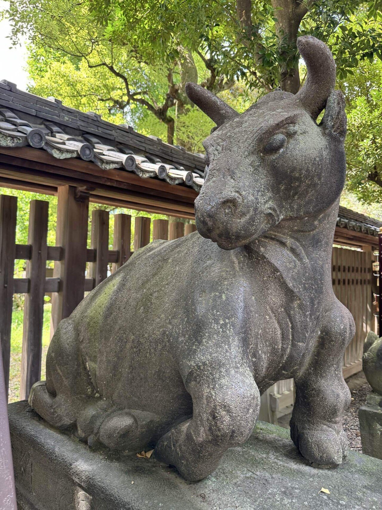 hanehane　①狛犬　阿吽　一対　石像　玄関先　庭 Amazon.co.jp: 獅子 狛犬 置物 風水・開運置物（阿吽一対セット