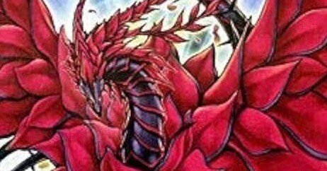 冷たい薔薇が世界の全てを包み込む。「十六夜アキファンデッキ」解説