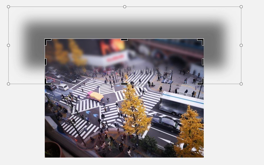 コメント 2020-03-10 024453