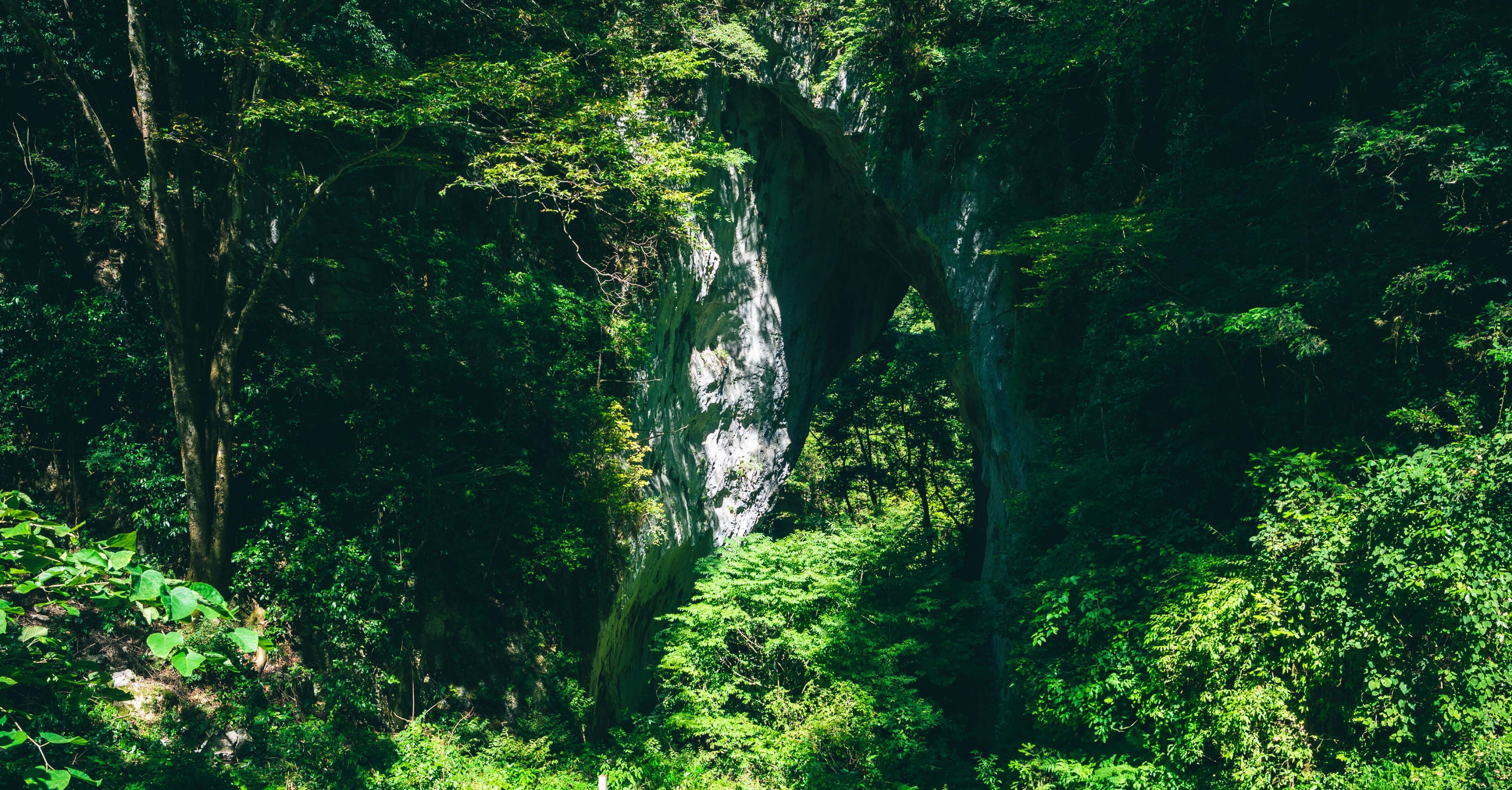 d83bc45d953acfc10d76356a8ec9b6