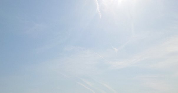死亡推定時刻、或る女、夜。【アショカビハーラ】｜ネクトン