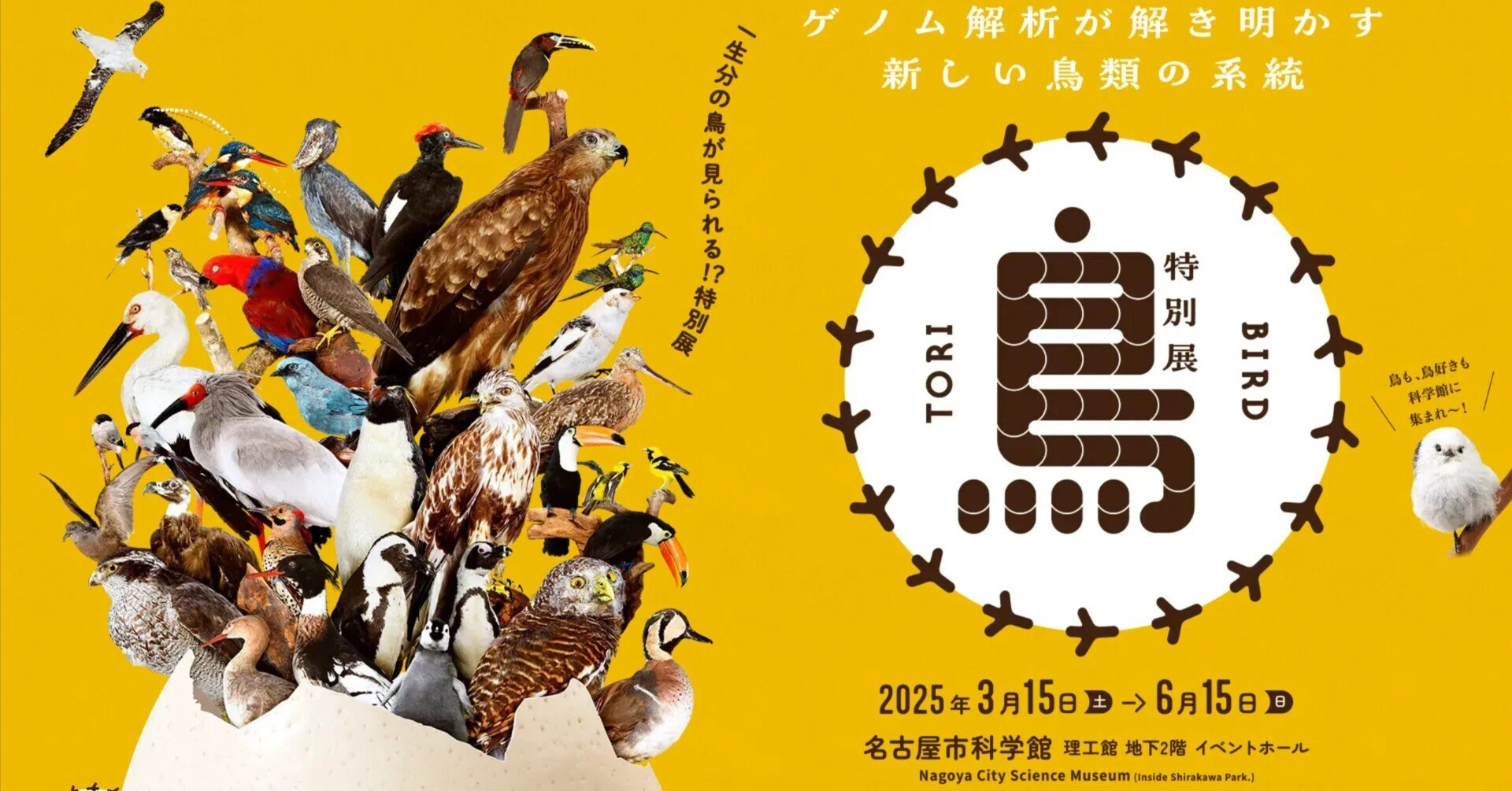 鳥好きが特別展「鳥」展に行ったら、思ってたのと全然違った話（名古屋