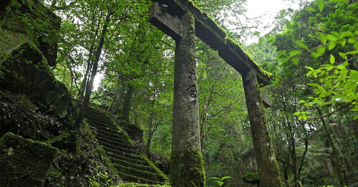 対面霊視、神社巡りで悪い人来なかったオニたんのブレスです！サイズ調整できるです！ no 8/31東7た36a on X: 