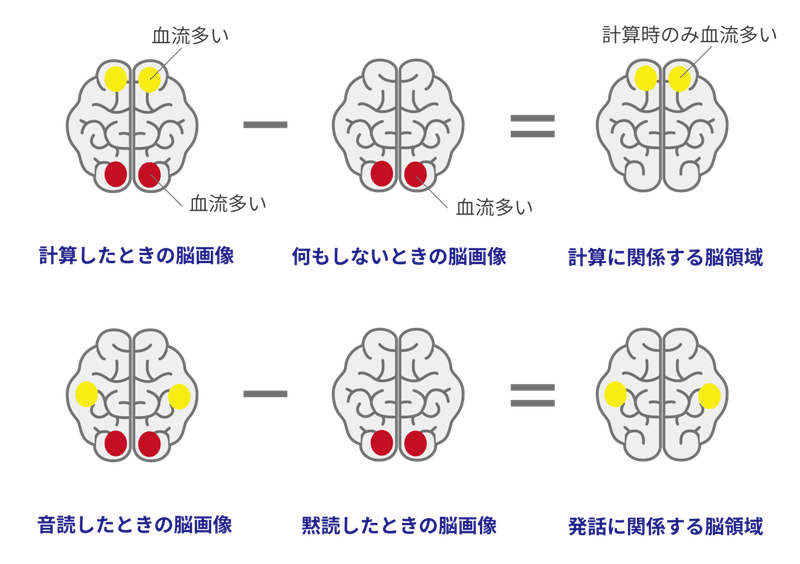 脳科学リテラシー-基本-fMRI