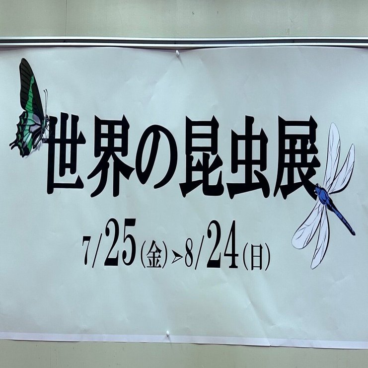 みんなの好きな昆虫たち…実際は超クサッ？！ほんとはこの強烈さ