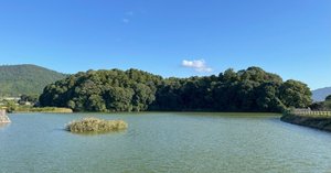 GWセール！早い者勝ち！ホケノ山古墳の研究 ホケノ山古墳の研究 / | 歴史・考古学専門書店 六一書房