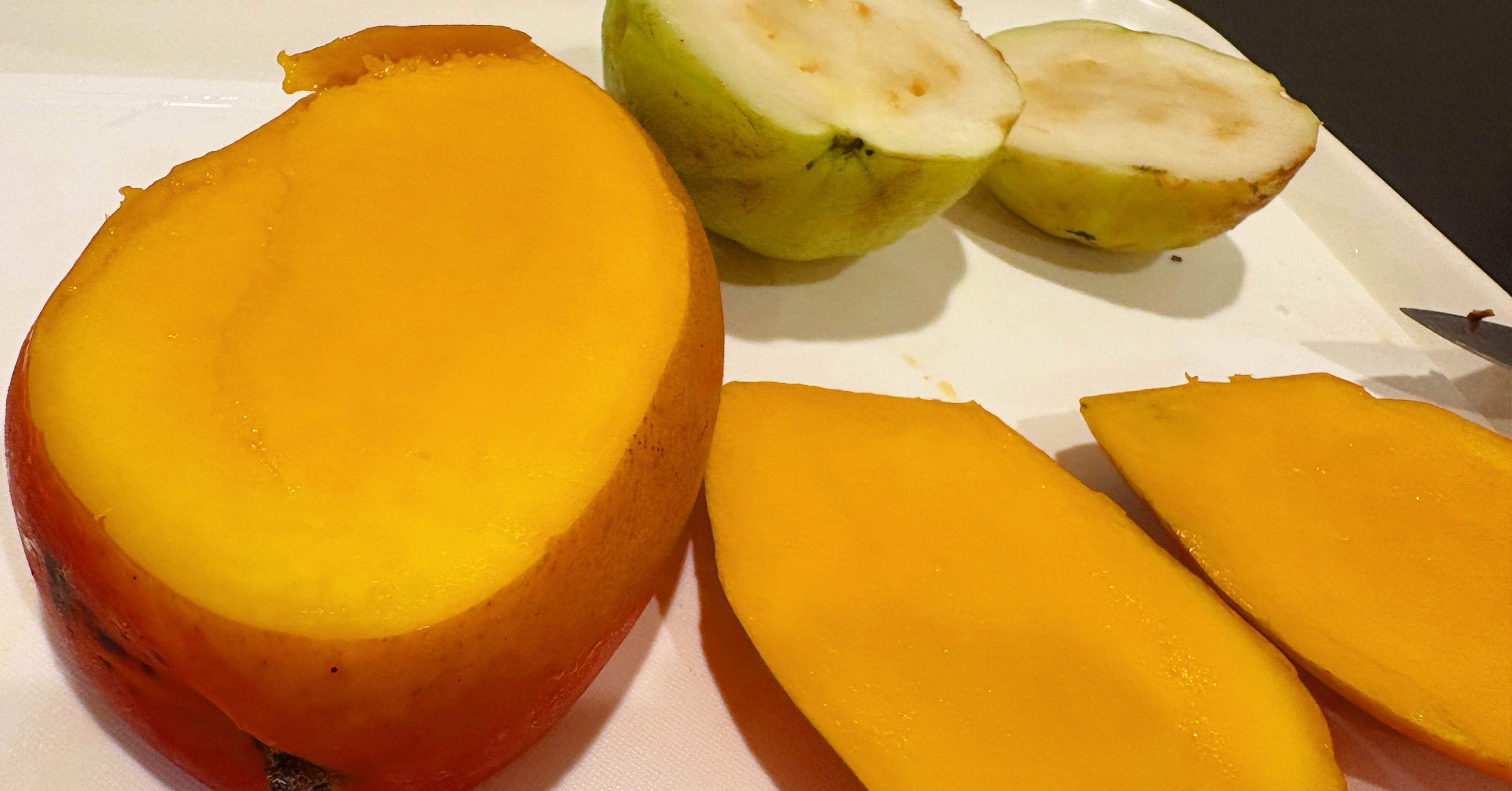 台湾旅行記 #12｜龍江水果行 絶品完熟愛文マンゴー＆大目釈迦頭【2025