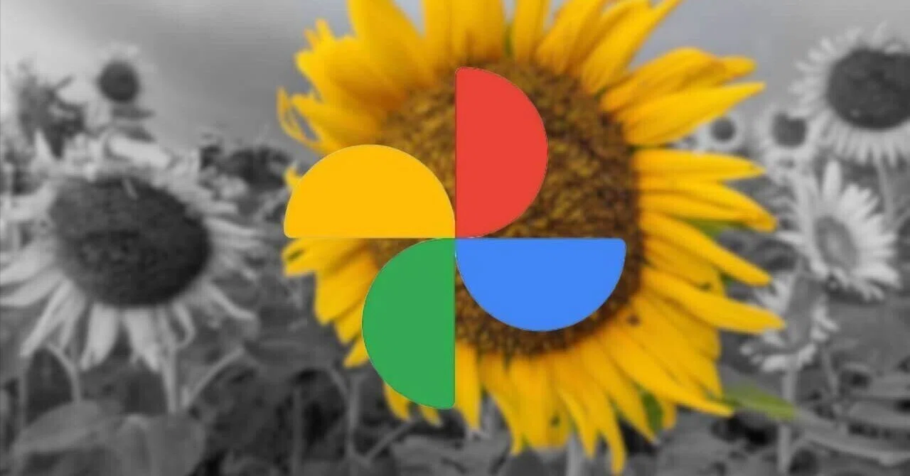 컬러 팝 폐지. Android 'Google 포토' 새 사진 편집기｜Jetstream - ガジェット情報セレクトメディア
