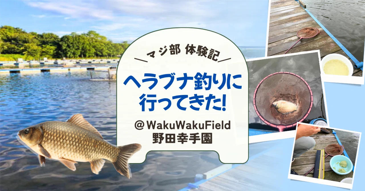 マジ部体験記】野田幸手園でヘラブナ釣りをしてみた！｜マジ部公式note