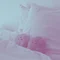 ふたごのうま