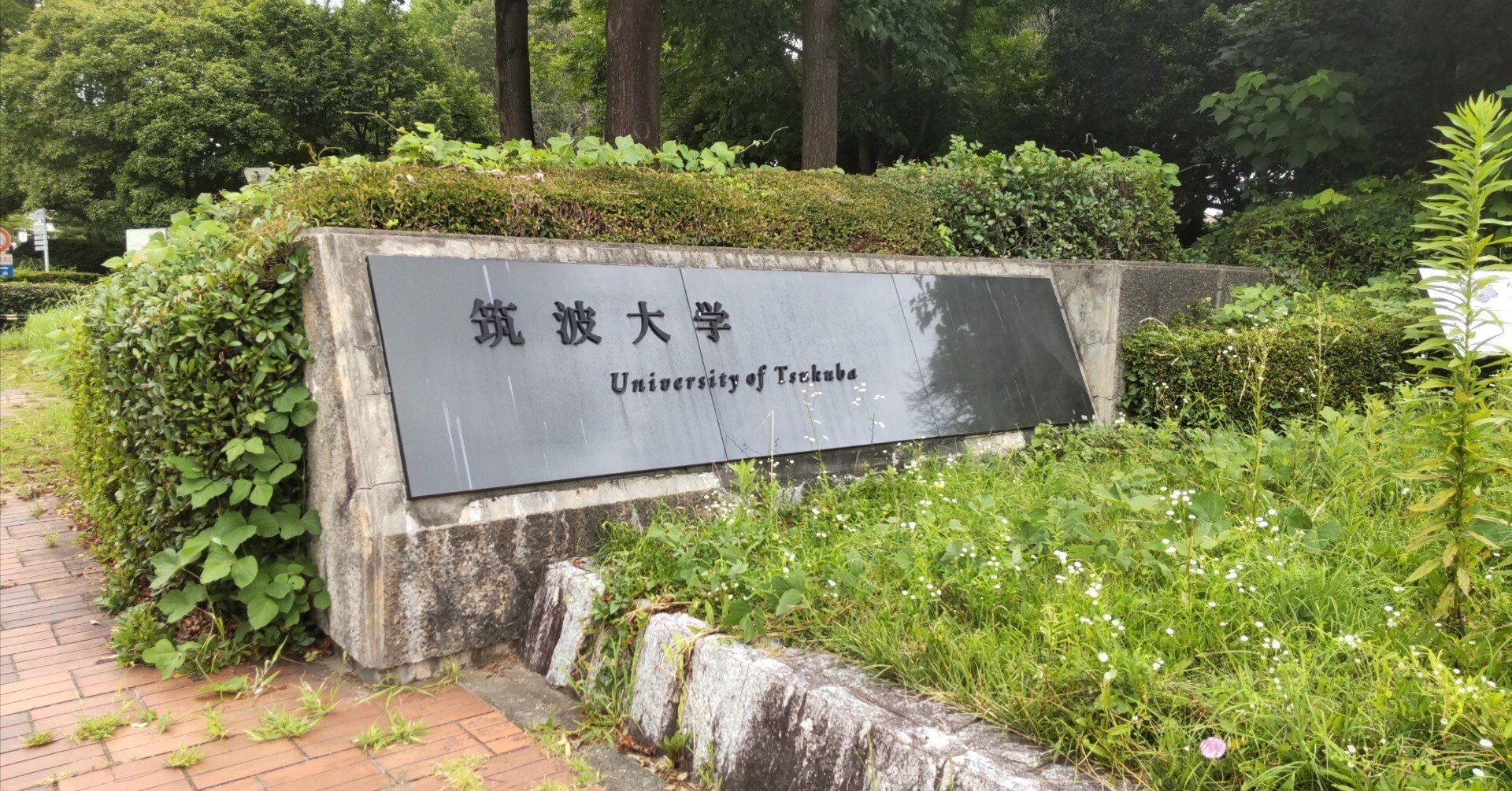 R8(2026)年度 筑波大学情報学群情報科学類編入体験記｜take