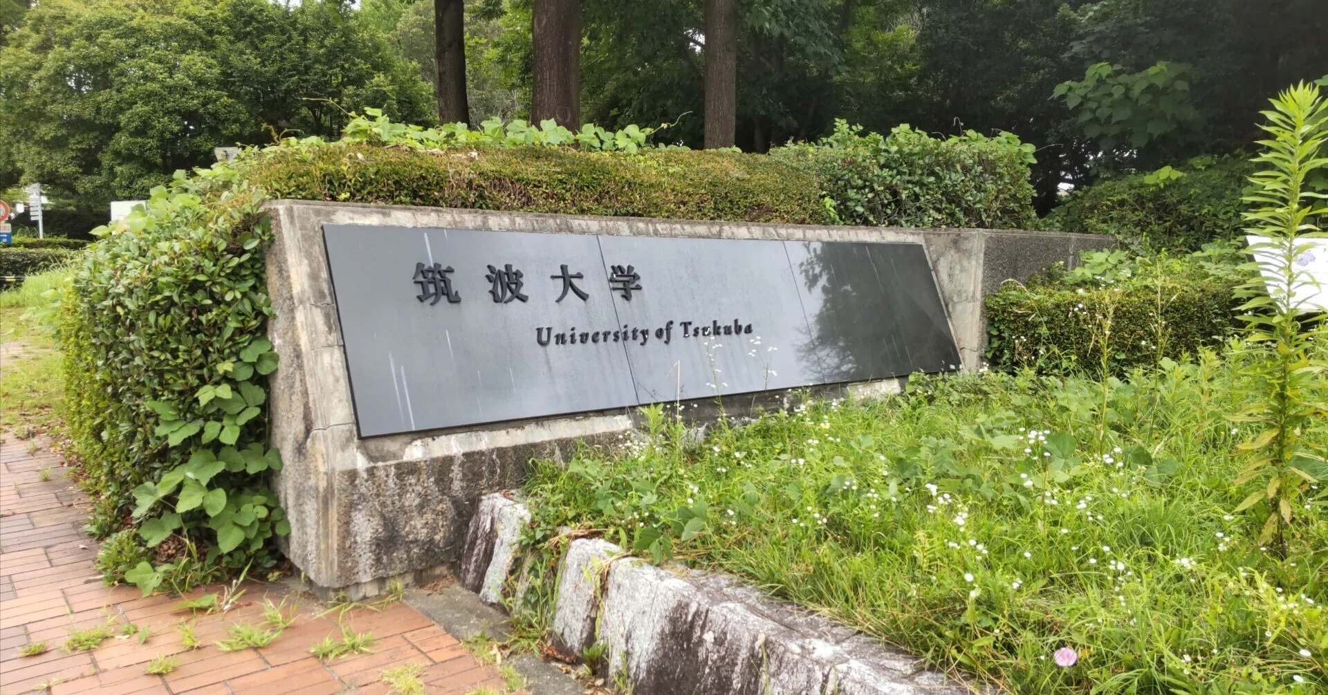 R8(2026)年度 筑波大学情報学群情報科学類編入体験記|take R8(2026)年度 筑波大学情報学群情報科学類編入体験記|take