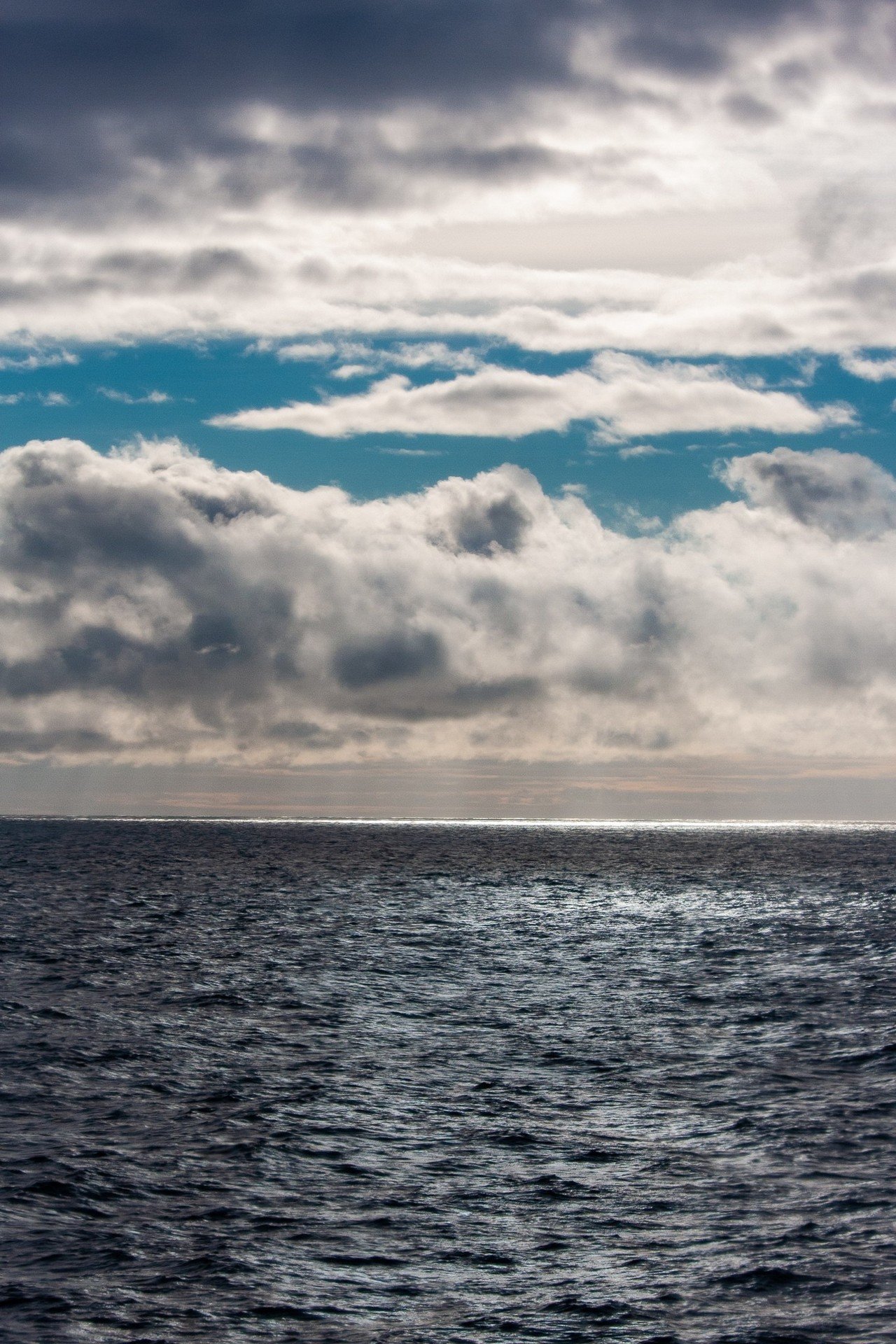 終日航海 アラスカ半島沖 Zenpaku Note 終日航海 アラスカ半島沖 Zenpaku Note