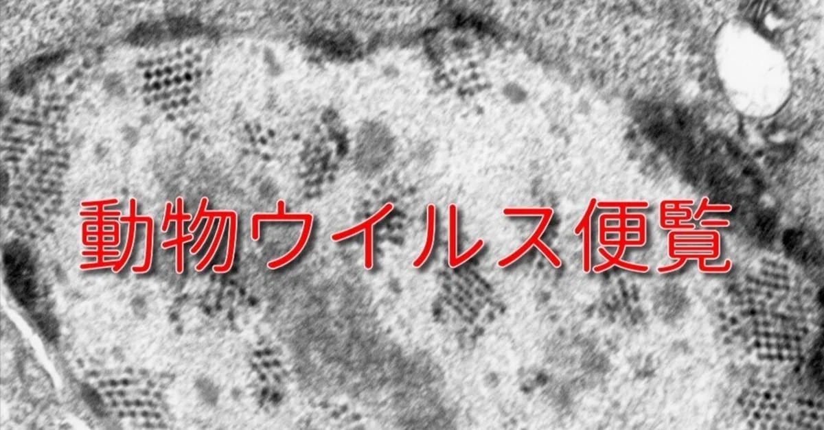 パピローマウイルス科 （family Papillomaviridae）｜原澤 亮