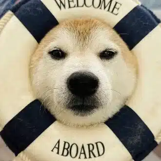 みい