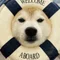 みい
