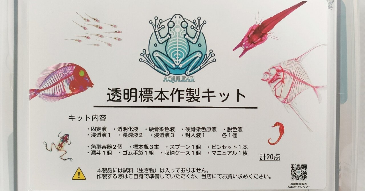 セール★限定販売★オリジナル商品【透明標本作製キット】全17点 限定販売☆オリジナル商品【透明標本作製キット】全17点 - メルカリ