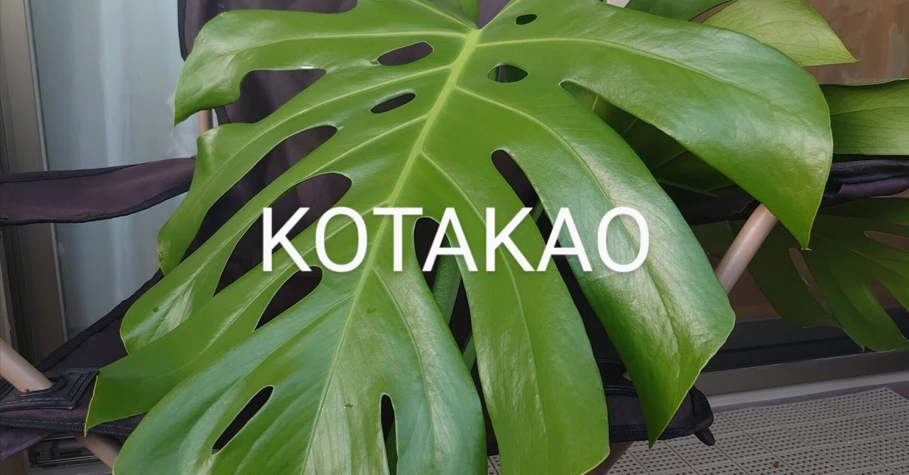 巨大化する植物どうしてますか？｜こたかおさんちのはっぱ
