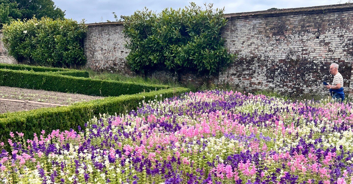 イギリス2025】70年放置された後に復活した伝説の庭園「ロスト