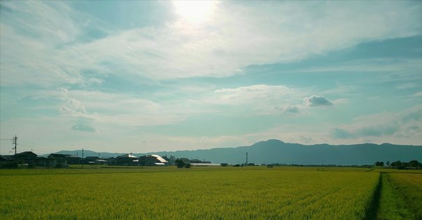百年の孤独を歩く ガルシア＝マルケスとわたしの四半世紀」 田村