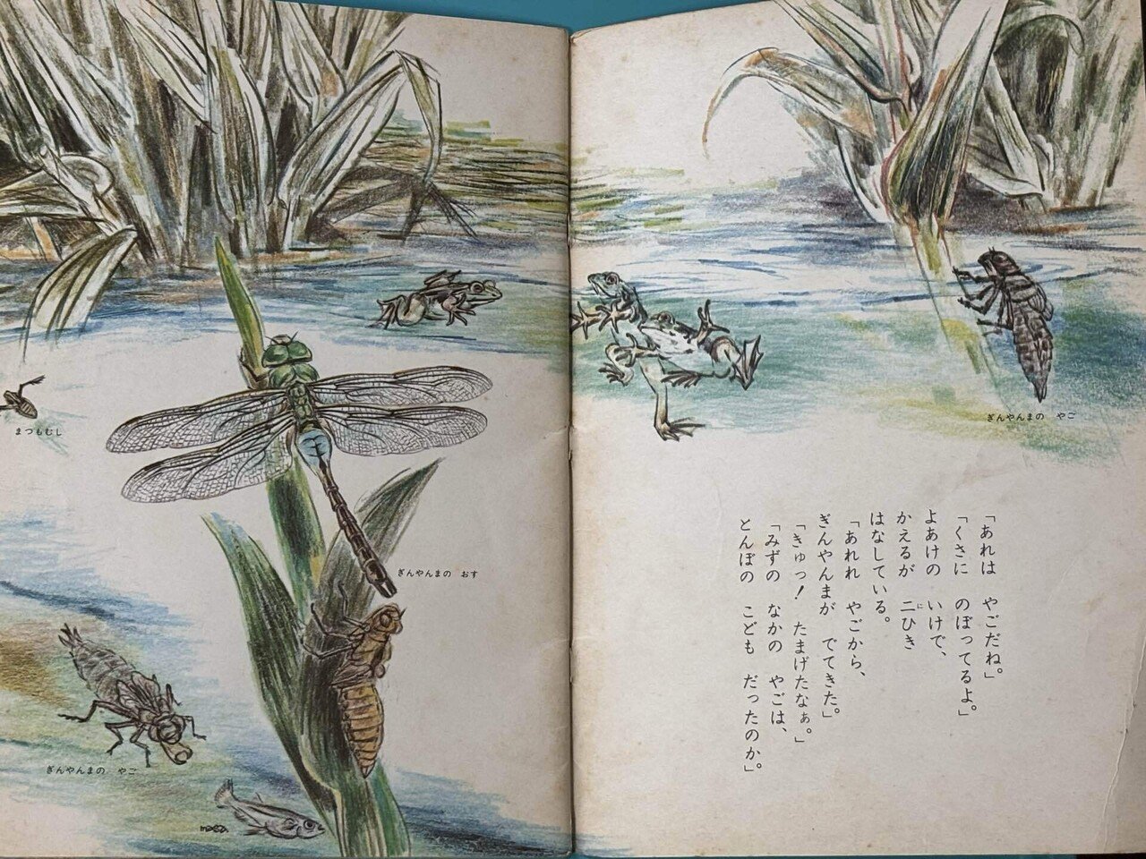 やさしいライオン」を53年前の「キンダーブック」で見つけました
