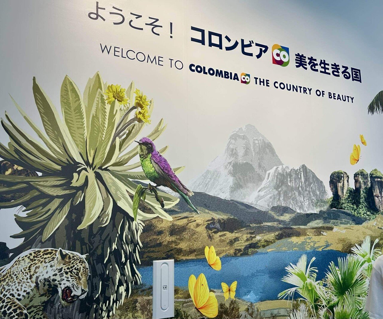 コロンビア館｜黄色い蝶を追いかけて 🇨🇴大阪・関西万博｜ひろぴょん