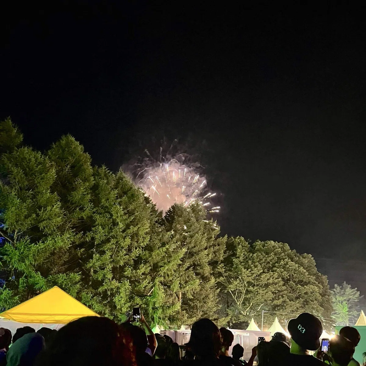 フジロック前夜祭の花火の写真