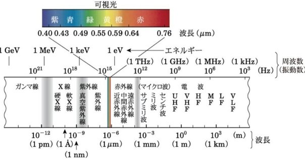 Dr.森の腹部超音波パーフェクト 改訂第2版』刊行記念 Dr.森