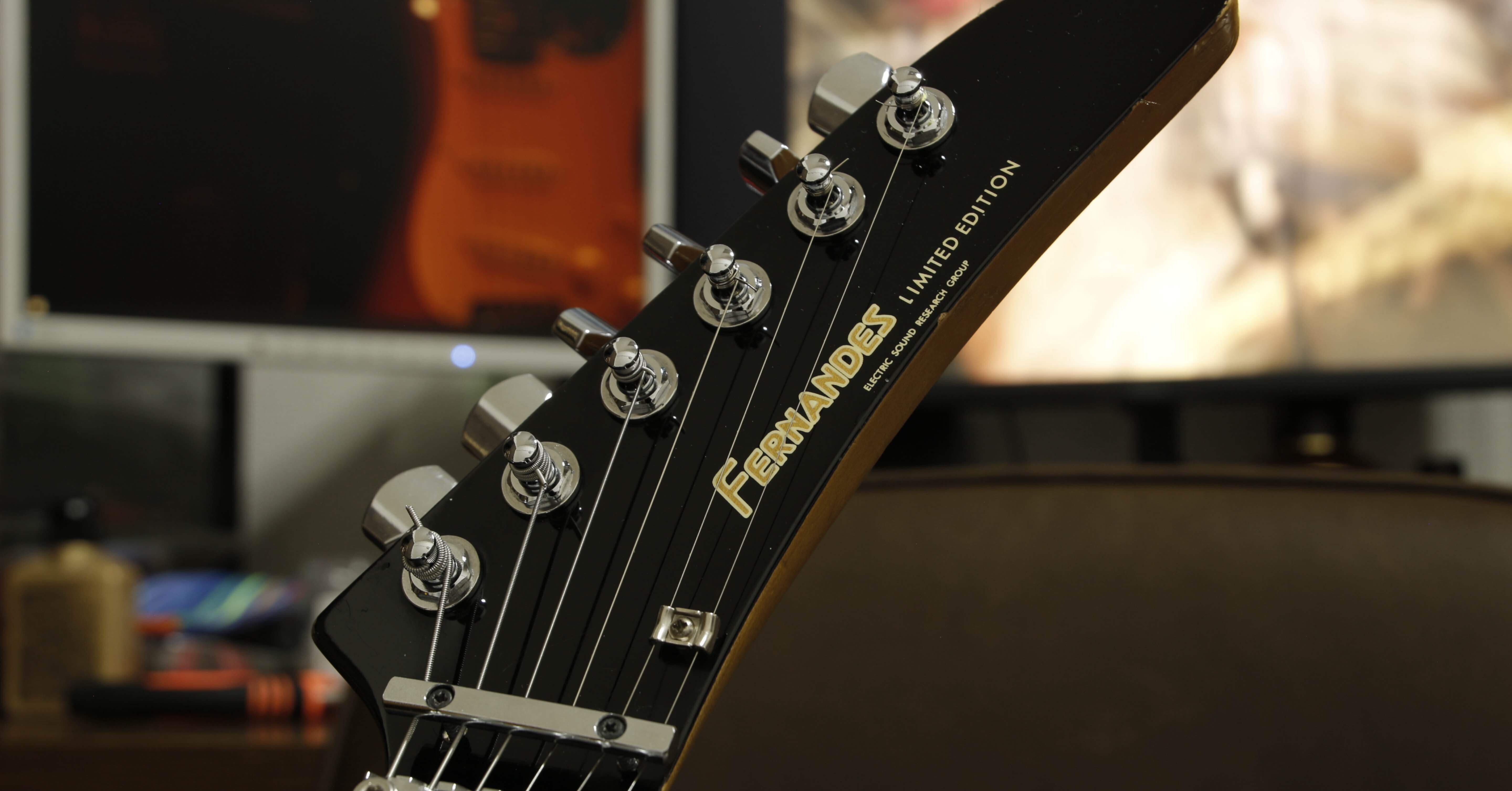 フェルナンデスのギター改造記録｜Tやま