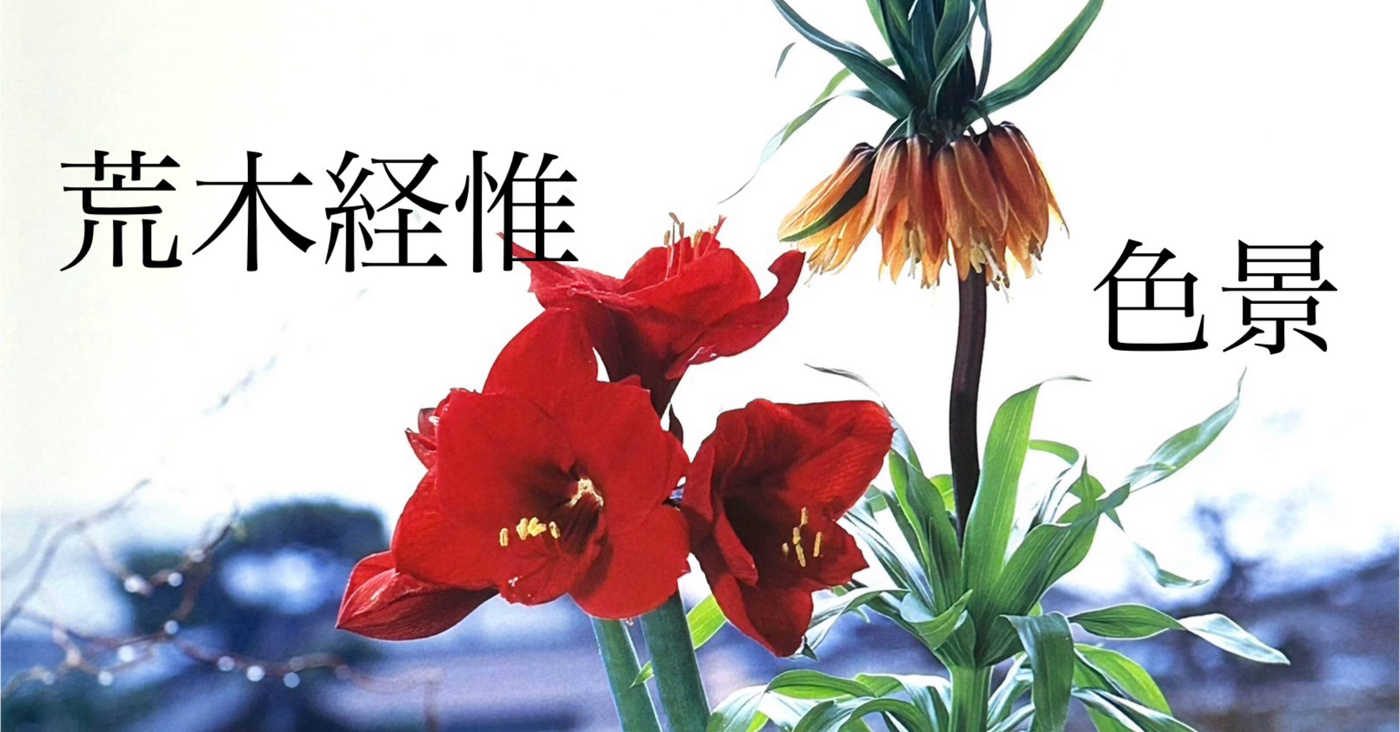 至高の色ガラス。荒木経惟写真集「色景」について｜山岸_慶次郎