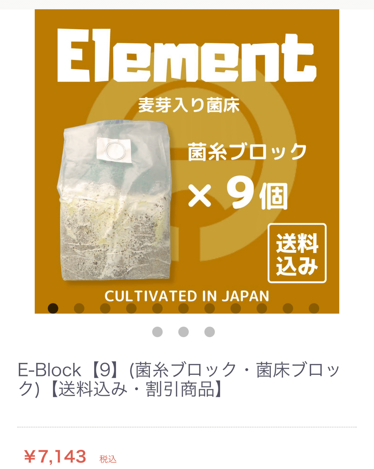 菌糸ブロック 10個 ヒラタケ クワガタ 幼虫餌 ビギナーから上級者まで