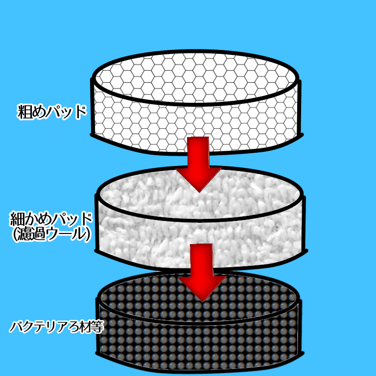 水槽立ち上げのキホン 物理濾過について知ろう うさこ Aquarium Note