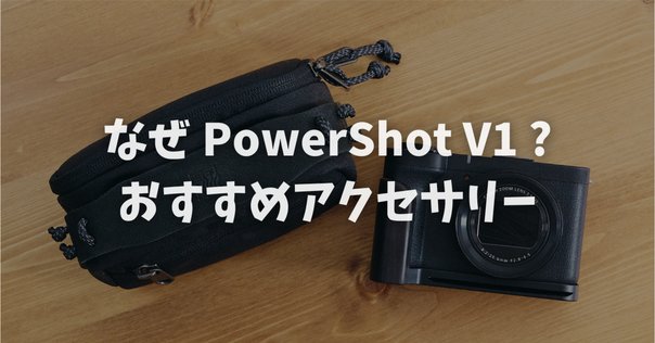 Rolleicord Ⅰa型 二眼レフカメラ レザーケース +おまけ付き ローライコード（二眼レフカメラ）ケース | じゃりとyoんでください