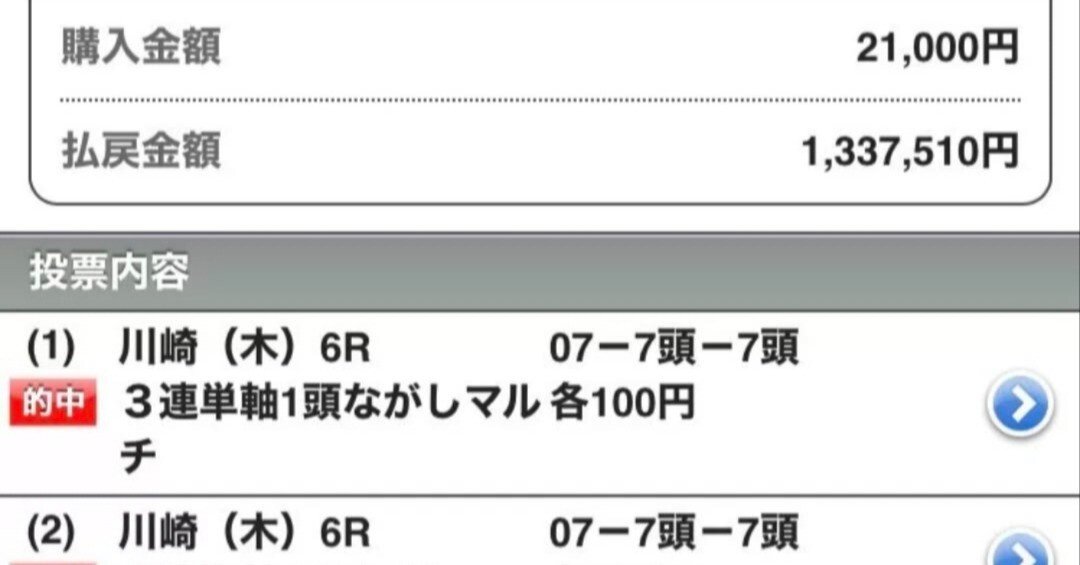 競馬 単勝馬券 No.2 ハルウララ馬券・ラストラン（ハルウララC.C） - メルカリ