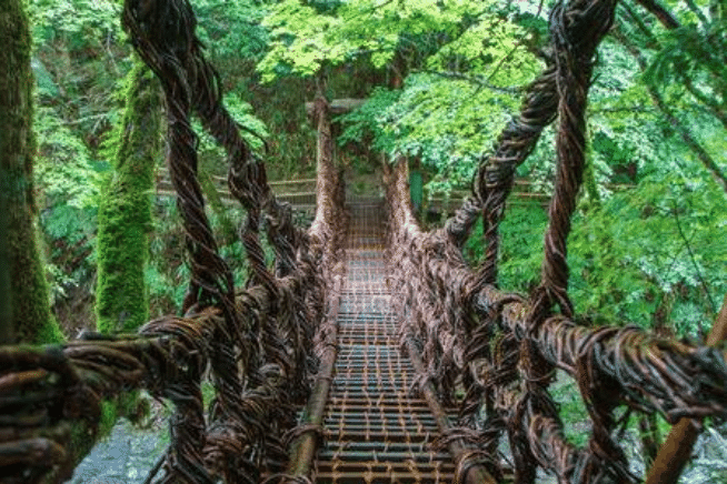 森の吊り橋