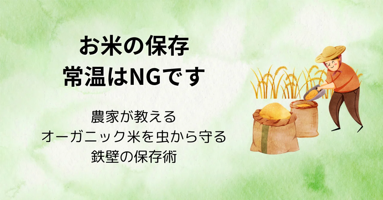 Storing rice at room temperature is a no-go: A farmer's guide to ...