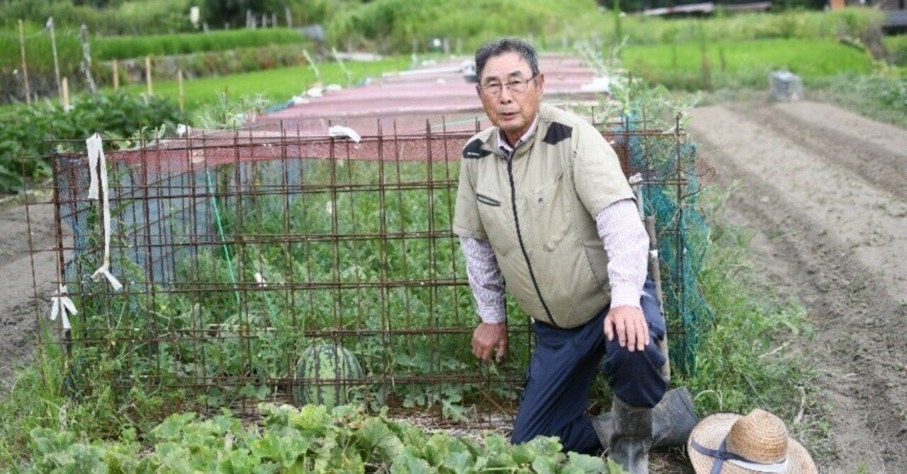 たいせつに、たいせつに、育てた「箱入りスイカ」が1等賞に／田中勇治