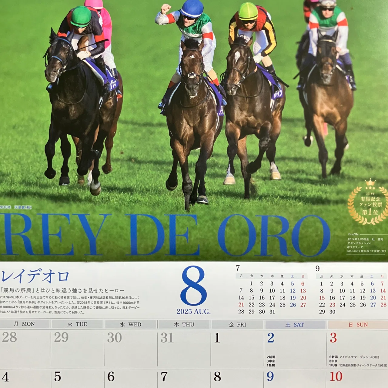 競馬ファンに【ダービーニュース１９８９年カレンダー】 競馬ファンに【ダービーニュース1989年カレンダー】の通販