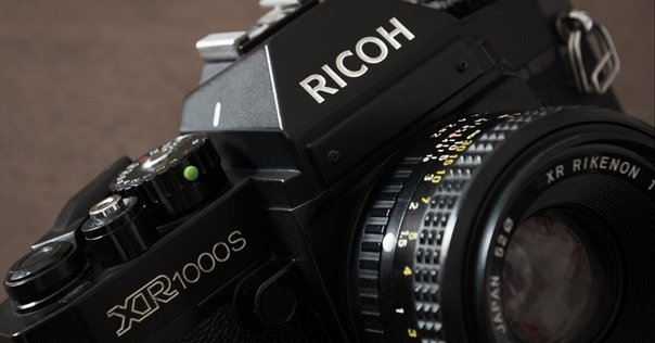 Canon EOS Kiss Digital N｜芝生侍