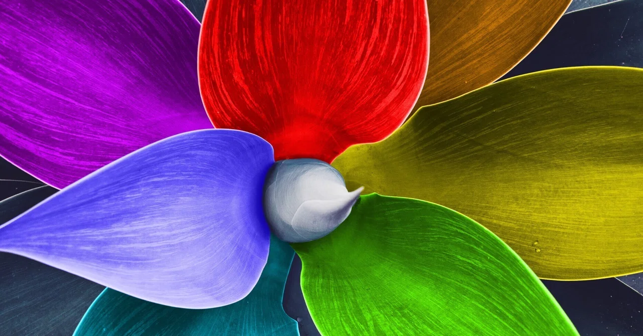 Tetrachromacy and Its Characteristics｜aceartacademy