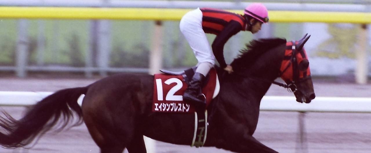 第52回毎日王冠：蔵出し写真 2001年 ⑫エイシンプレストン｜馬画人 (ま