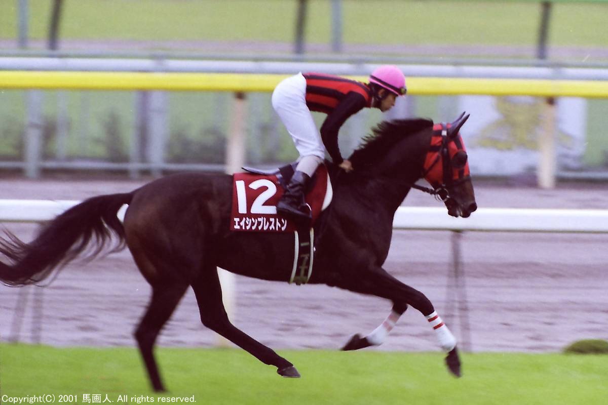 エイシンプレストン　馬券 エイシンプレストン（Eishin Preston） | 競馬データベース | JRA-VAN