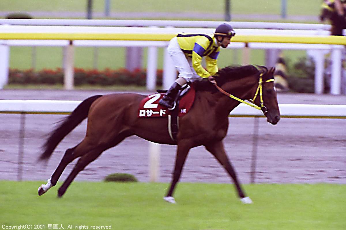 第52回毎日王冠：蔵出し写真 2001年 ⑫エイシンプレストン｜馬画人 (ま
