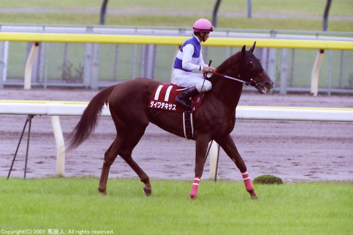 第52回毎日王冠：蔵出し写真 2001年 ⑫エイシンプレストン｜馬画