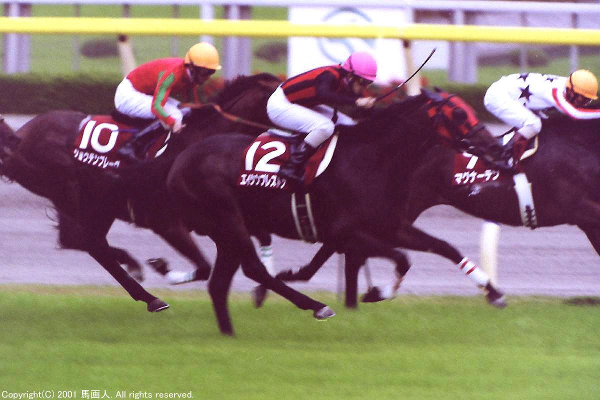 エイシンプレストン　馬券 EJTGhw6UYAUANOm-300x271.jpeg