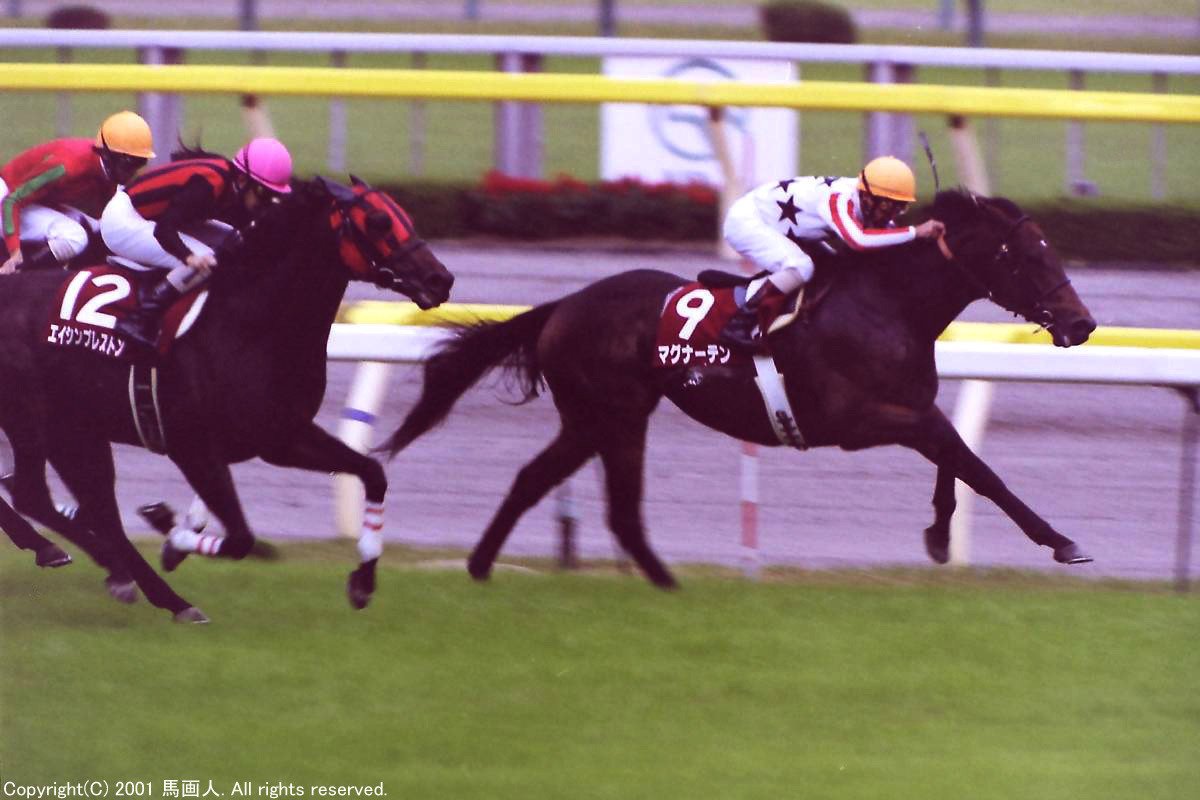 第52回毎日王冠：蔵出し写真 2001年 ⑫エイシンプレストン｜馬画