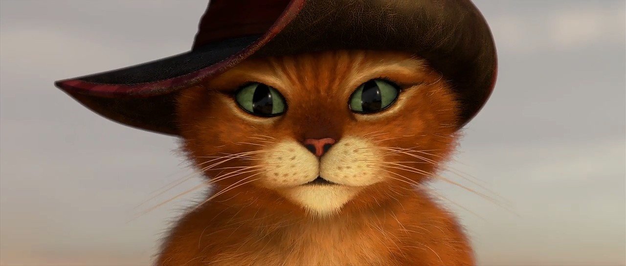 長ぐつをはいたネコ もり はるひ Note