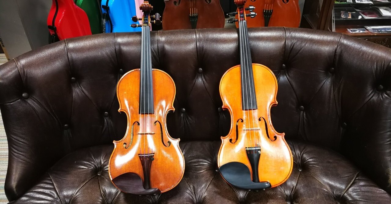 弦楽器の個性は思ったよりも豊か｜中山 ただし