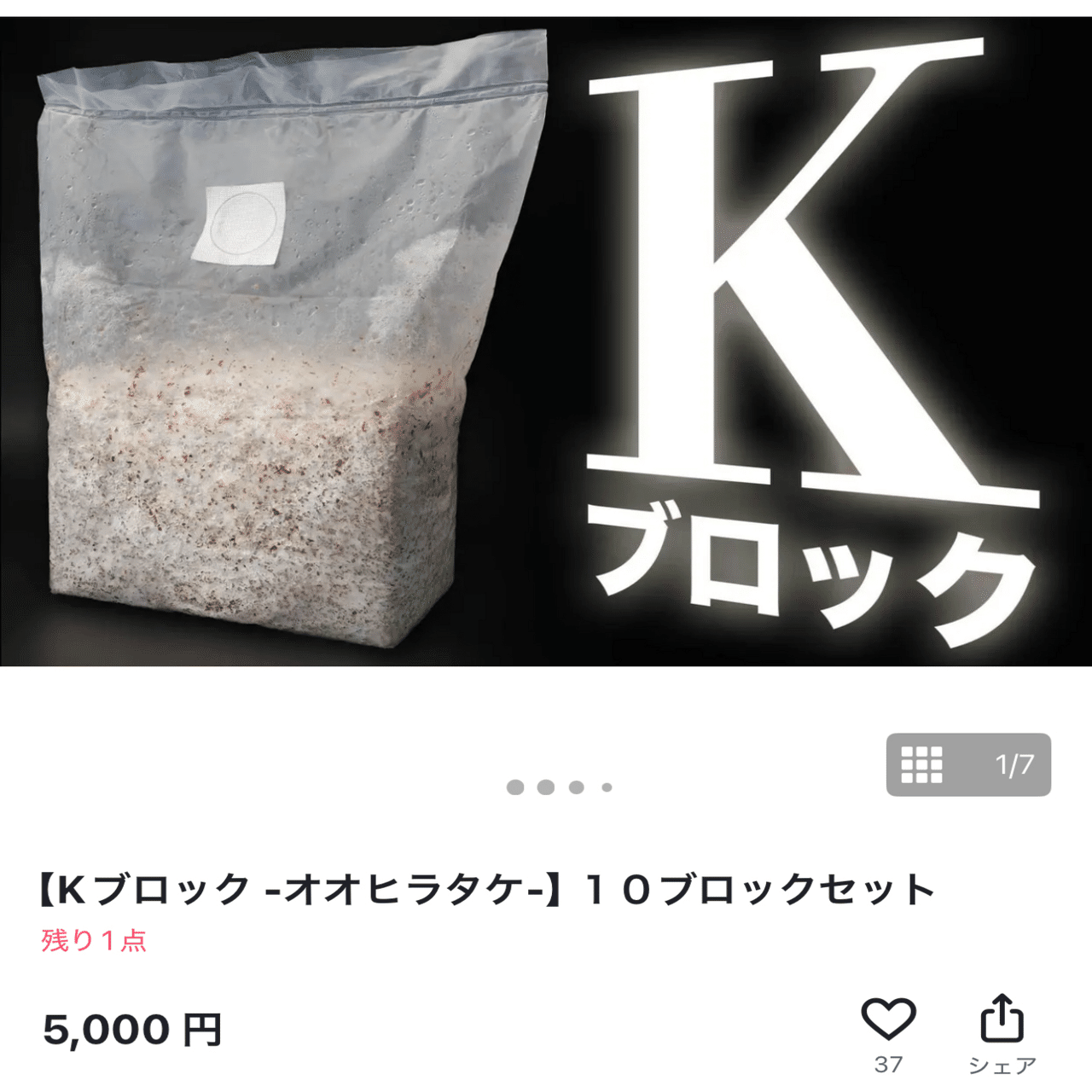 我が家の使用菌糸ブロック【ヒラタケ系】｜ちろもな🐶(クワカブ飼育)